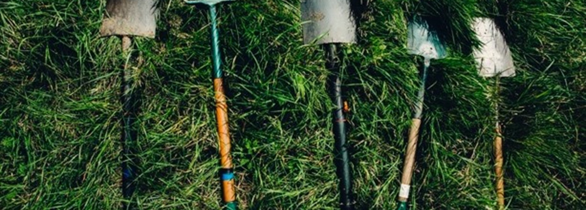 Gardening tools laid out on grass